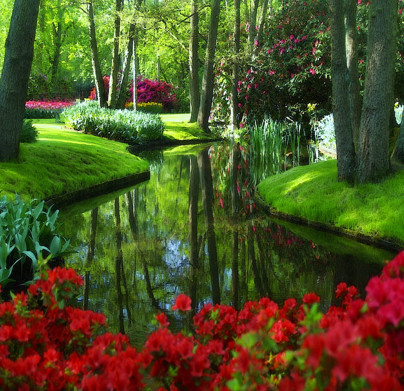 A little bit of lovely, pretty, green, flowers, park, creek, roses, trees, HD wallpaper