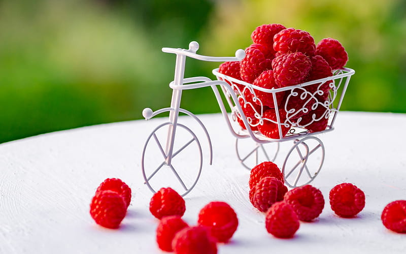 Raspberries, zmeura, fruit, red, biek, bycicle, raspberry, white, HD wallpaper