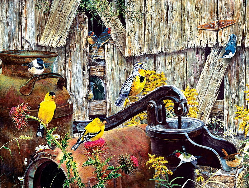Someone's watching, birds, finches, pump, barn, painting, HD wallpaper