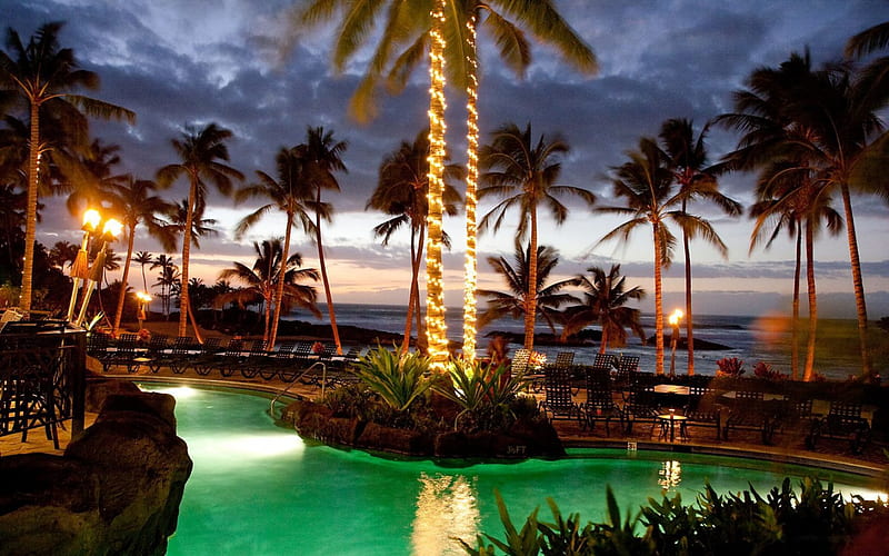 Hawaiian Beach Bar, tables, chairs, pool, lights, sea, palms, HD wallpaper