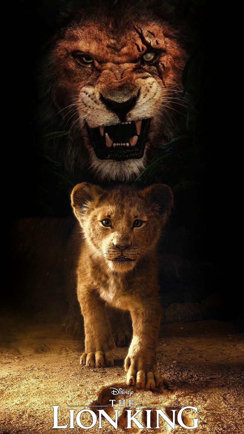 Lionking, roi, lion, king, disney, HD phone wallpaper | Peakpx