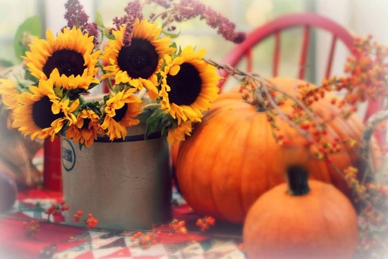 Autumn Time , fall, autumn, lovely, orange, halloween, yellow, bonito, sunflower, graphy, sunflowers, pumpkin, HD wallpaper