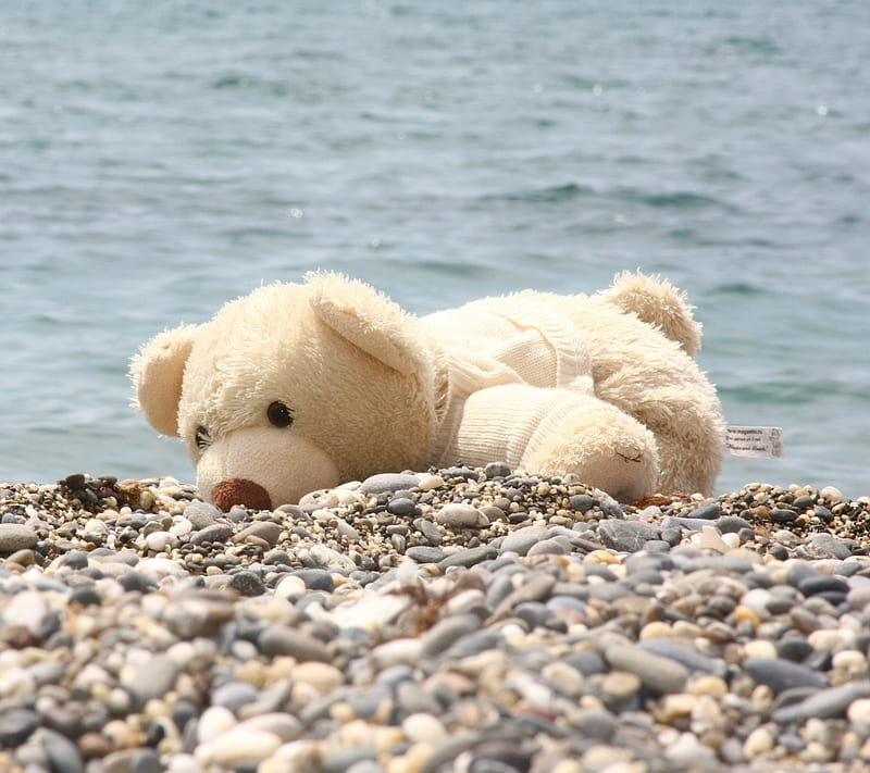 Bear Soft Toy beach, bear, beautiful pebbles, rocks, sea, stones, toy, HD wallpaper