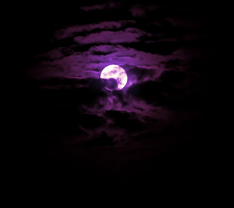 Purple Moonlight, HD wallpaper | Peakpx