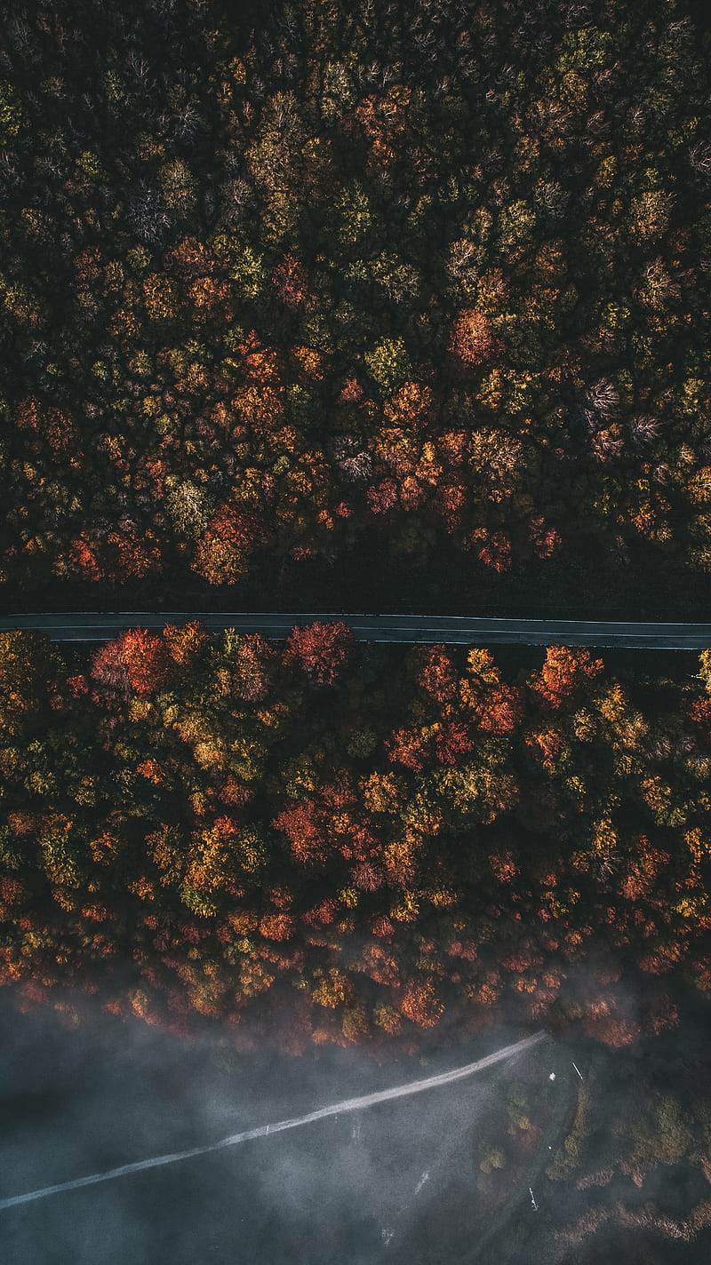 aerial graphy of roadway and trees, HD phone wallpaper