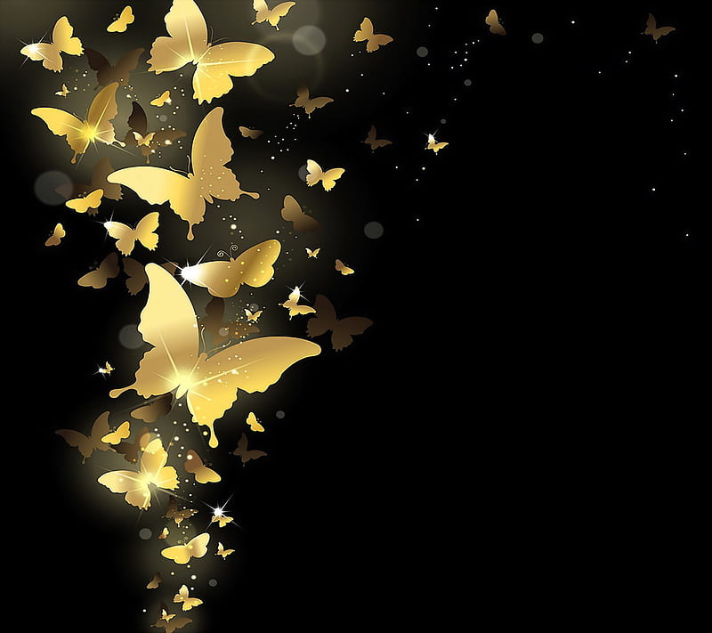 Golden Butterflies, black, black gold edge, butterfly, class, edge, gold, purple, star, stars, HD wallpaper