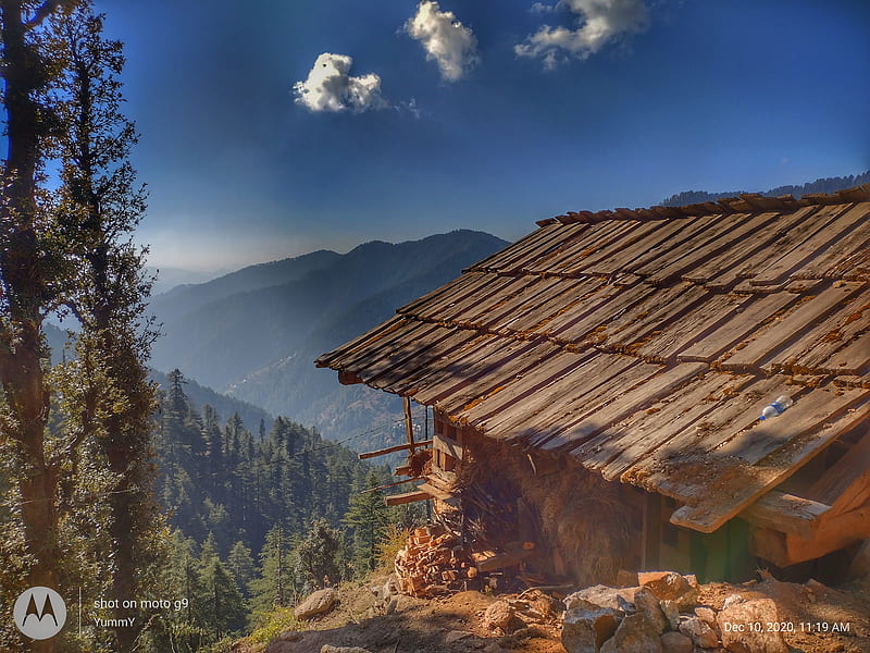 pahari top view, forest, house, wooden, HD wallpaper