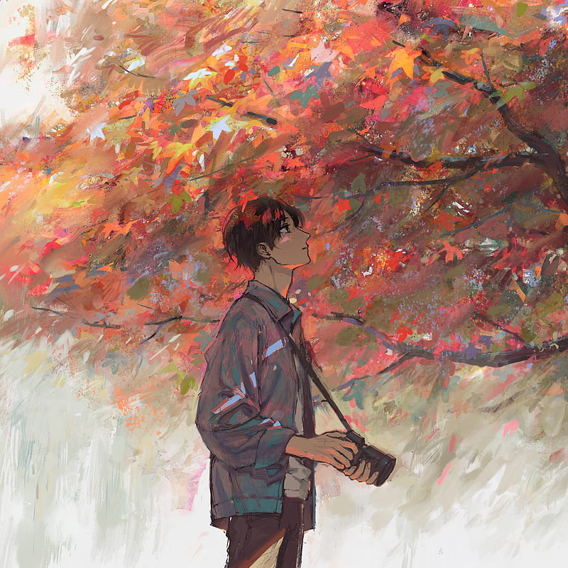 Anime, otoño, cámara, árboles, chicos anime, Fondo de pantalla de teléfono  HD | Peakpx
