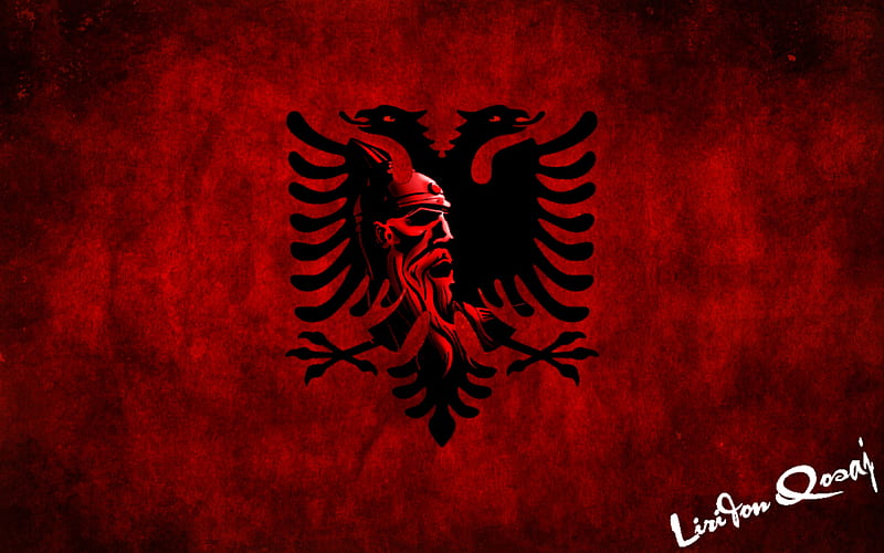 Shqiperia, albania, dardania, george kastrioti, kosova, shqipe, shqiponje, skenderbeg, HD wallpaper