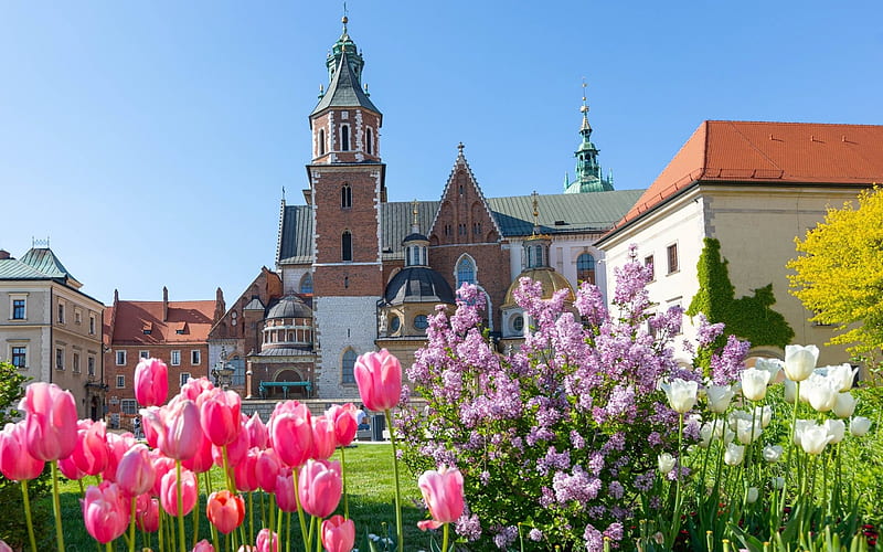 Spring in Krakow, Poland, flowers, Krakow, Poland, castle, spring, HD wallpaper