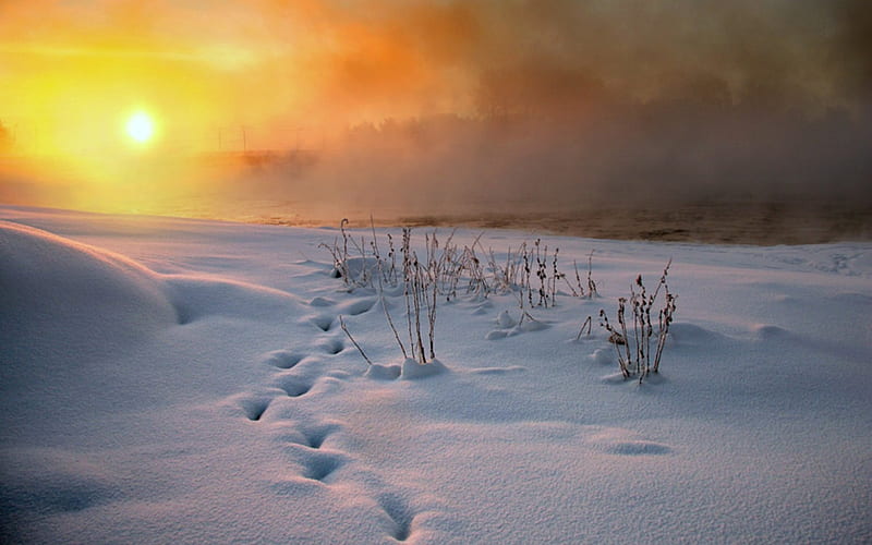 Sunrise on a Snowy Field, Footprints, Field, Snow, Sunrise, HD wallpaper