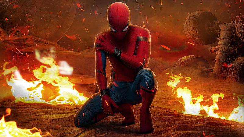 Spider-Man, Spider-Man: Homecoming, Peter Parker, Tom Holland, HD wallpaper
