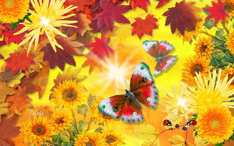 Autumn Sun, Viola Tricolor, fall, autumn, sun, shine, butterflies, leaves, sunflowers, flowers, ladybugs, light, HD wallpaper