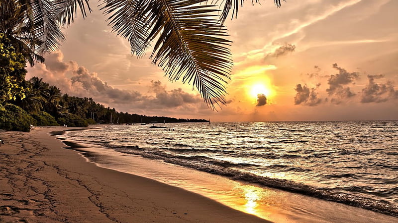 sunset on a wonderful tropical beach r, beach, r, sunset, waves, clouds, sea, palms, HD wallpaper