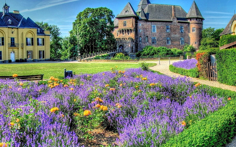 Castle in Lavender Garden, Lavender, pretty, Castle, Meadow, HD wallpaper
