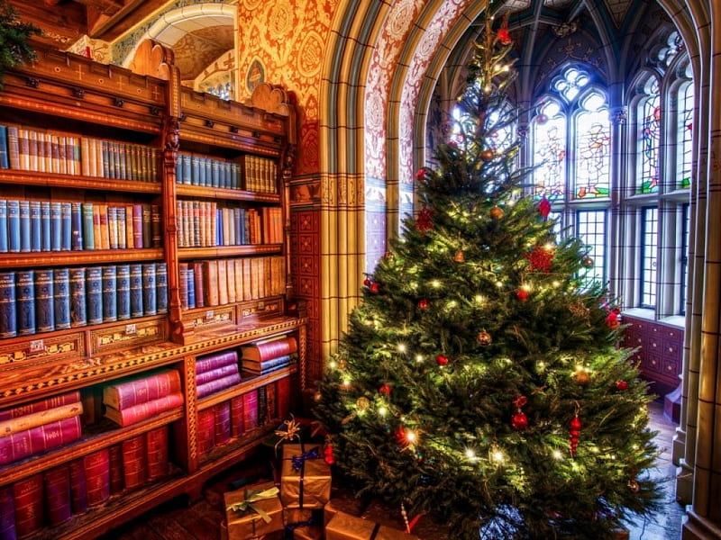 Christmas tree, closet, books, New Year, Holiday, arch, bathroom, window mural, gifts, HD wallpaper