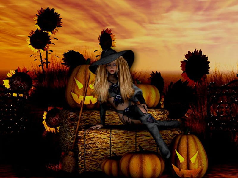 Witch, Fall, jack o lanterns, hay, broom, sunflowers, flowers, Halloween, Autumn, field, pumpkins, HD wallpaper