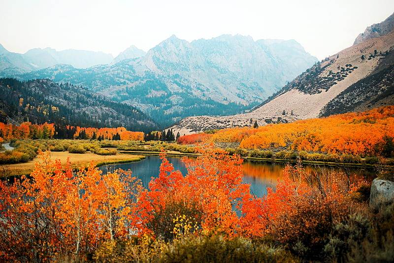 Morning at North Lake, Bishop, California, colors, leaves, trees, mountains, mist, HD wallpaper