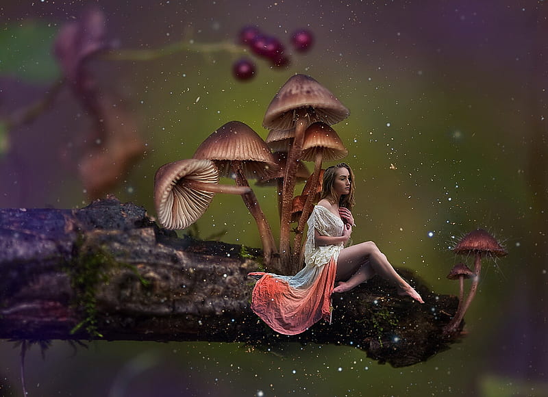 Forest of magic, girl, vadim chernyshev, forest, fantasy, luminos, mushroom, HD wallpaper