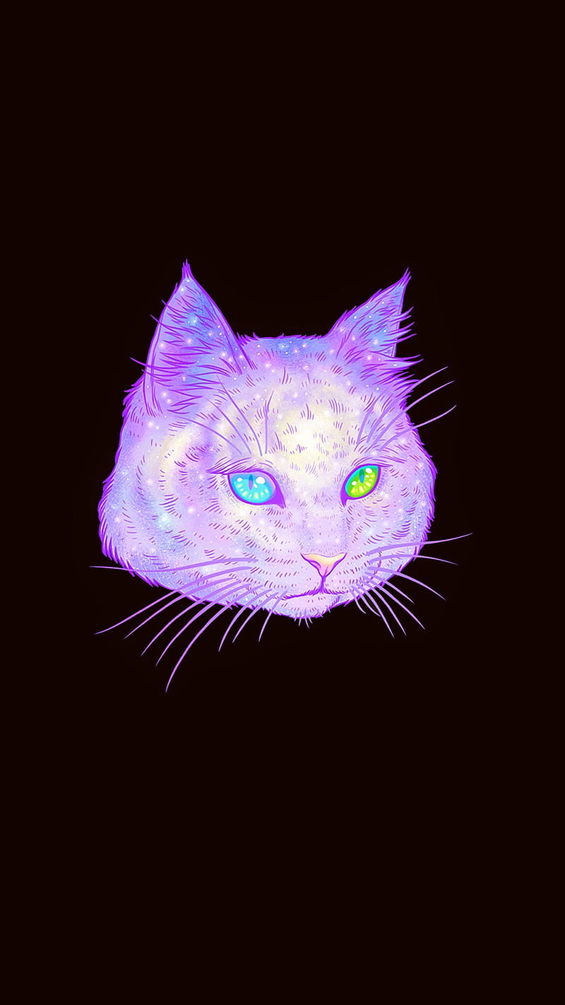 Purple Cat, cute, kitty, HD phone wallpaper | Peakpx