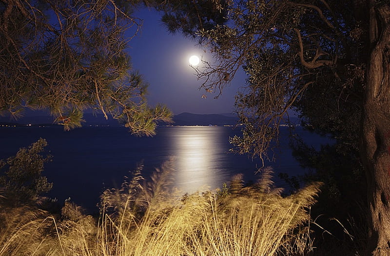 Full Moon, moon, lake, night, full, HD wallpaper