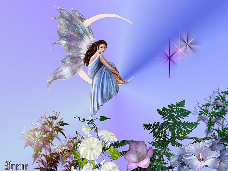 ABOVE AND BELOW, colorful, moon, wings, flowers, fairy, HD wallpaper ...