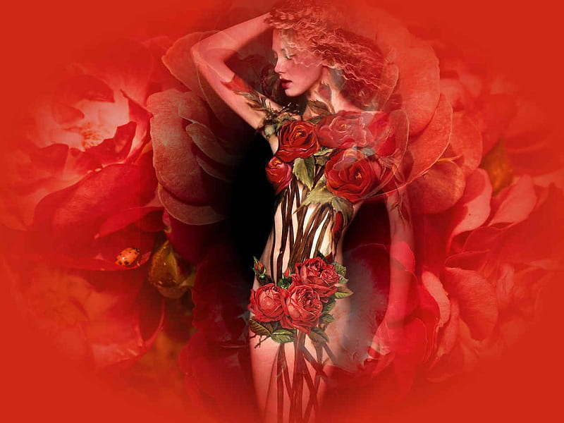 WILD ROSES, red, female, wild, hot, roses, lady, sexy, HD wallpaper