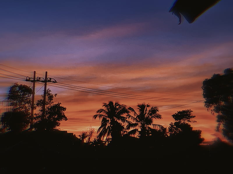 Orange horizon, aesthetic, beach view, dark, palm trees, sunset, HD wallpaper