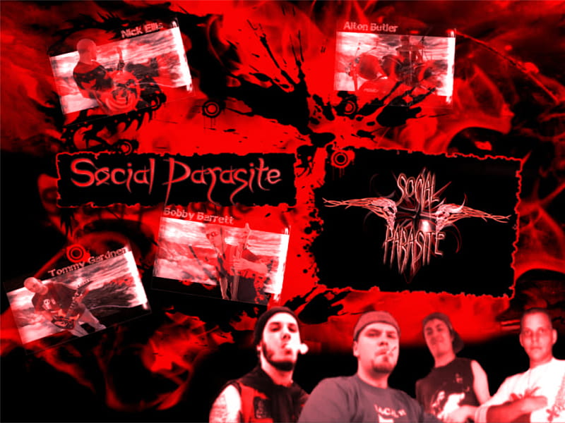 Social Parasite, rock, music, band, HD wallpaper
