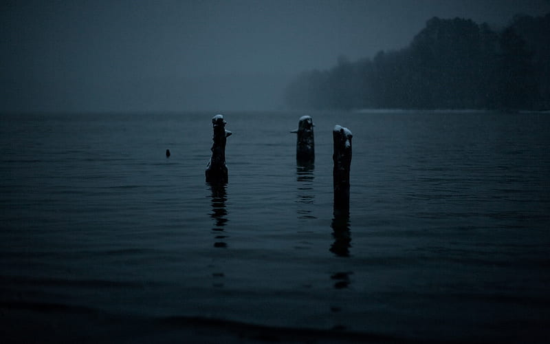 gloomy, dark, winter, snowing, mist, lake - Rare Gallery, HD wallpaper