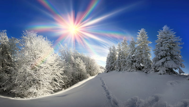 Footsteps in the snow, mountain, sun, snow, rays, slope, trees, frost, winter, HD wallpaper