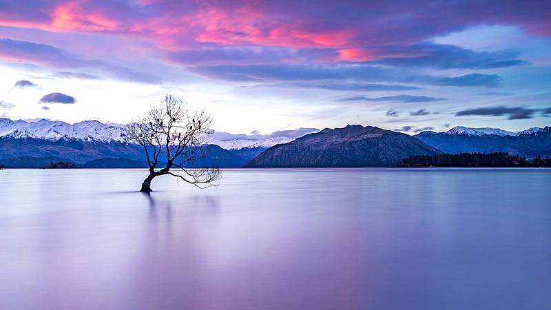 New Zealand Lake View, HD wallpaper