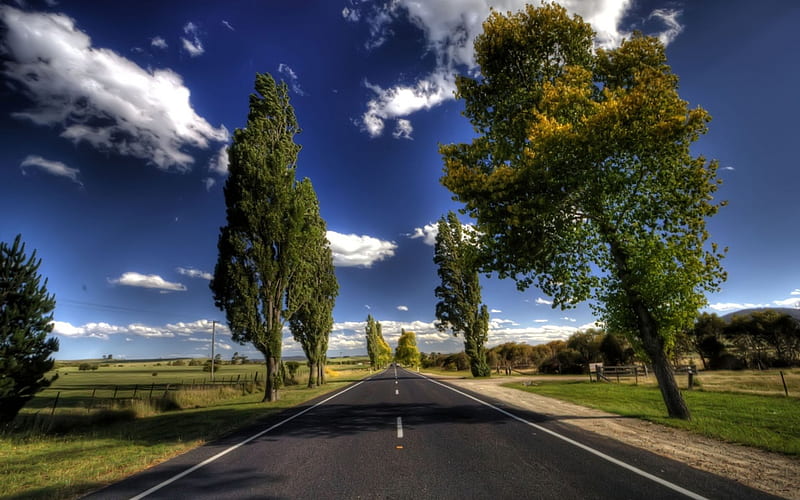 beautiful straight road in the country r, fields, r, road, trees, clouds, HD wallpaper
