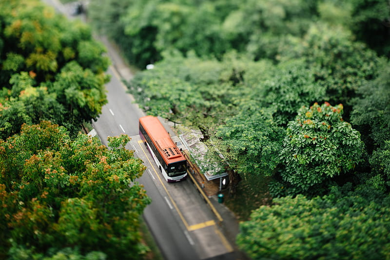 selective focus of orange and white bus surrounded with trees, HD wallpaper