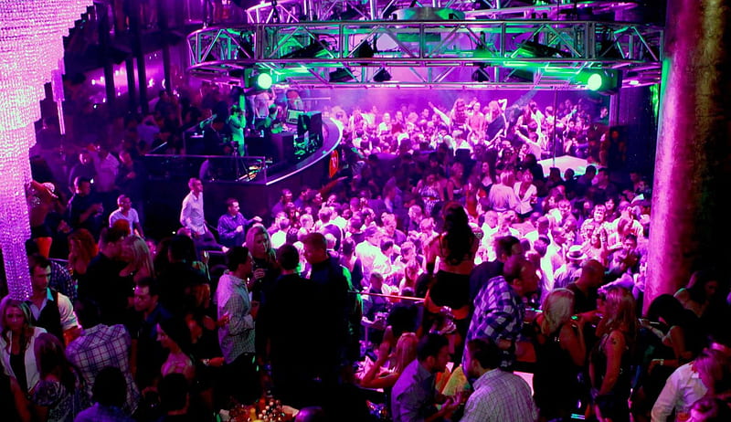 Fiesta salvaje, fiesta, club, discoteca, Fondo de pantalla HD | Peakpx