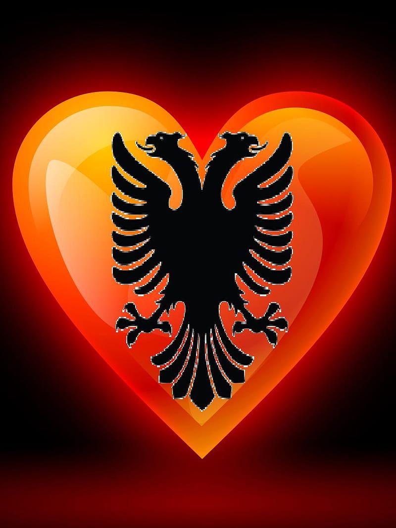 Zemra E Shqiptarve, albanian, terminator, HD phone wallpaper