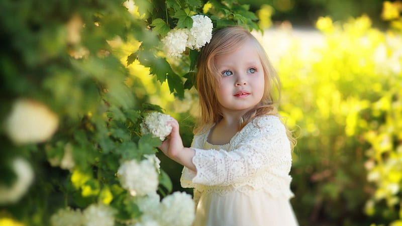Little Cute Ash Eyes Girl Is Wearing White Netted Dress Standing Near Green Plant Touching White Flower Cute, HD wallpaper