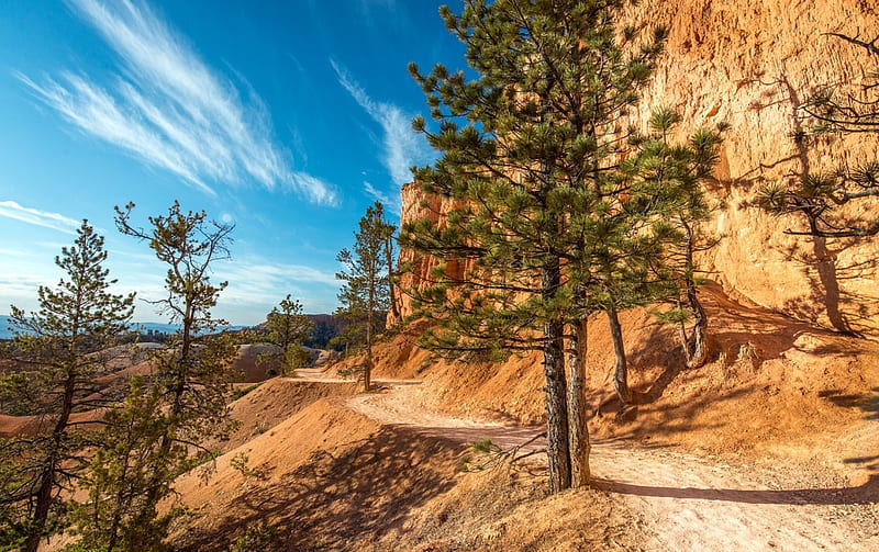 Inside Bryce Canyon, National Parks, Canyons, Landscapes, Nature, HD wallpaper