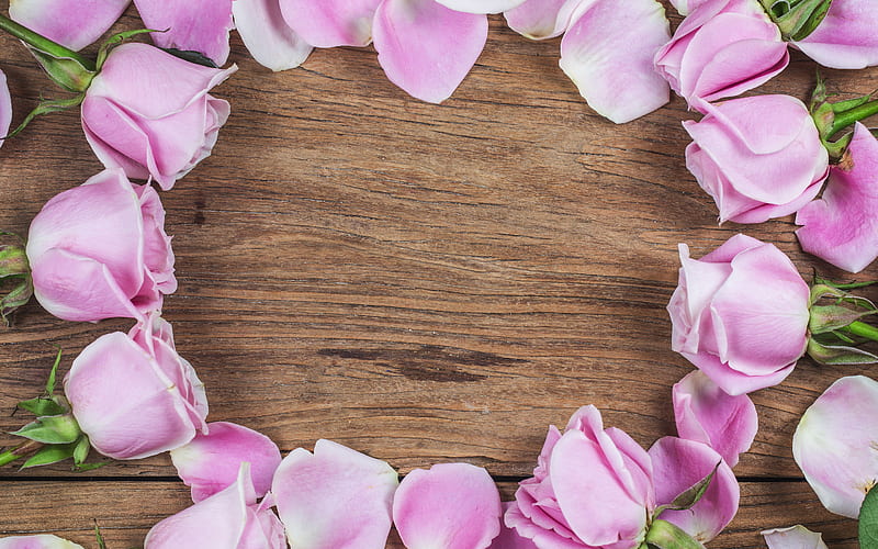 frame of pink roses, flower frame, wooden background, pink roses, beautiful flowers, HD wallpaper