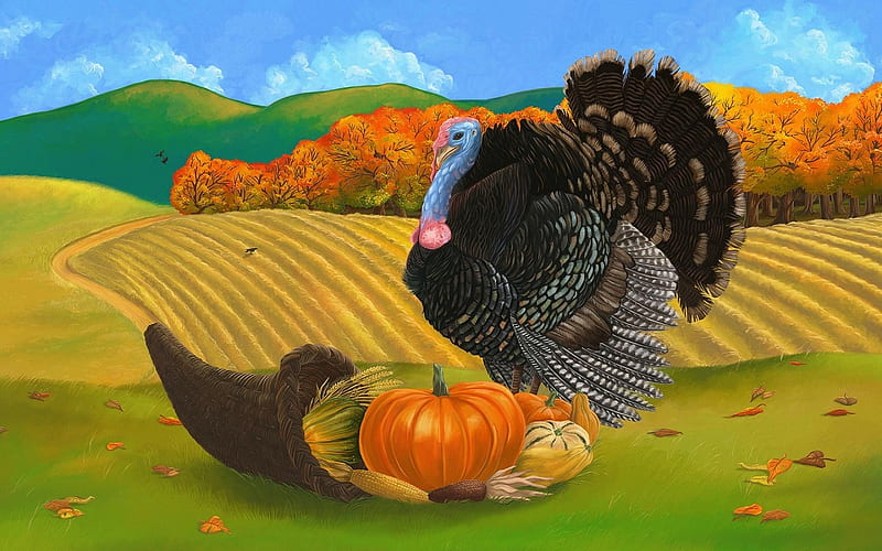 Turkey for Thanksgiving, painting, Thanksgiving, turkey, abstract, HD