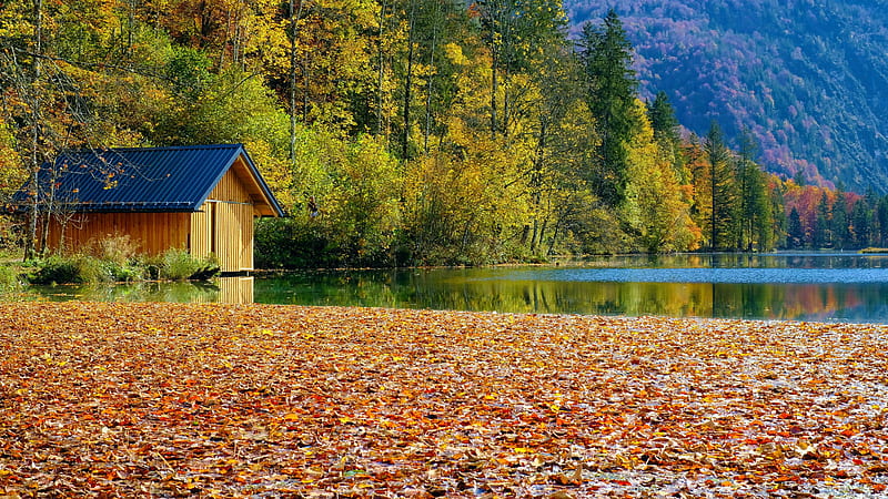 Lakeside Autumn, colors, leaves, trees, boathouse, water, HD wallpaper