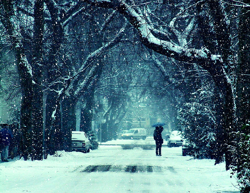 If On a Winter's Night..., bleak, stark, snow, dark, blue, winter, cold, HD wallpaper