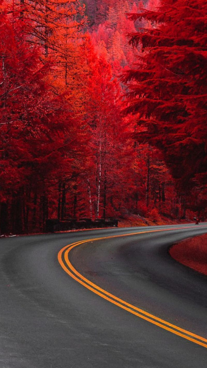Nature-Road, nature, road, HD phone wallpaper | Peakpx