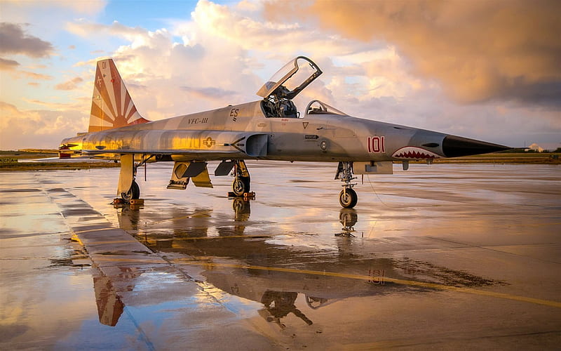 Northrop F-5, Tiger II, lightweight fighter, US Air Force, HD wallpaper