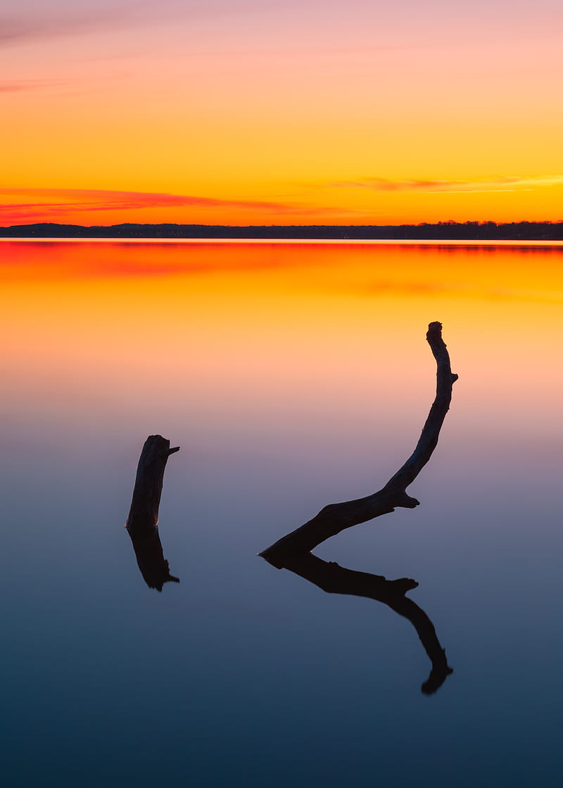 driftwood, water, sunset, horizon, gradient, HD phone wallpaper