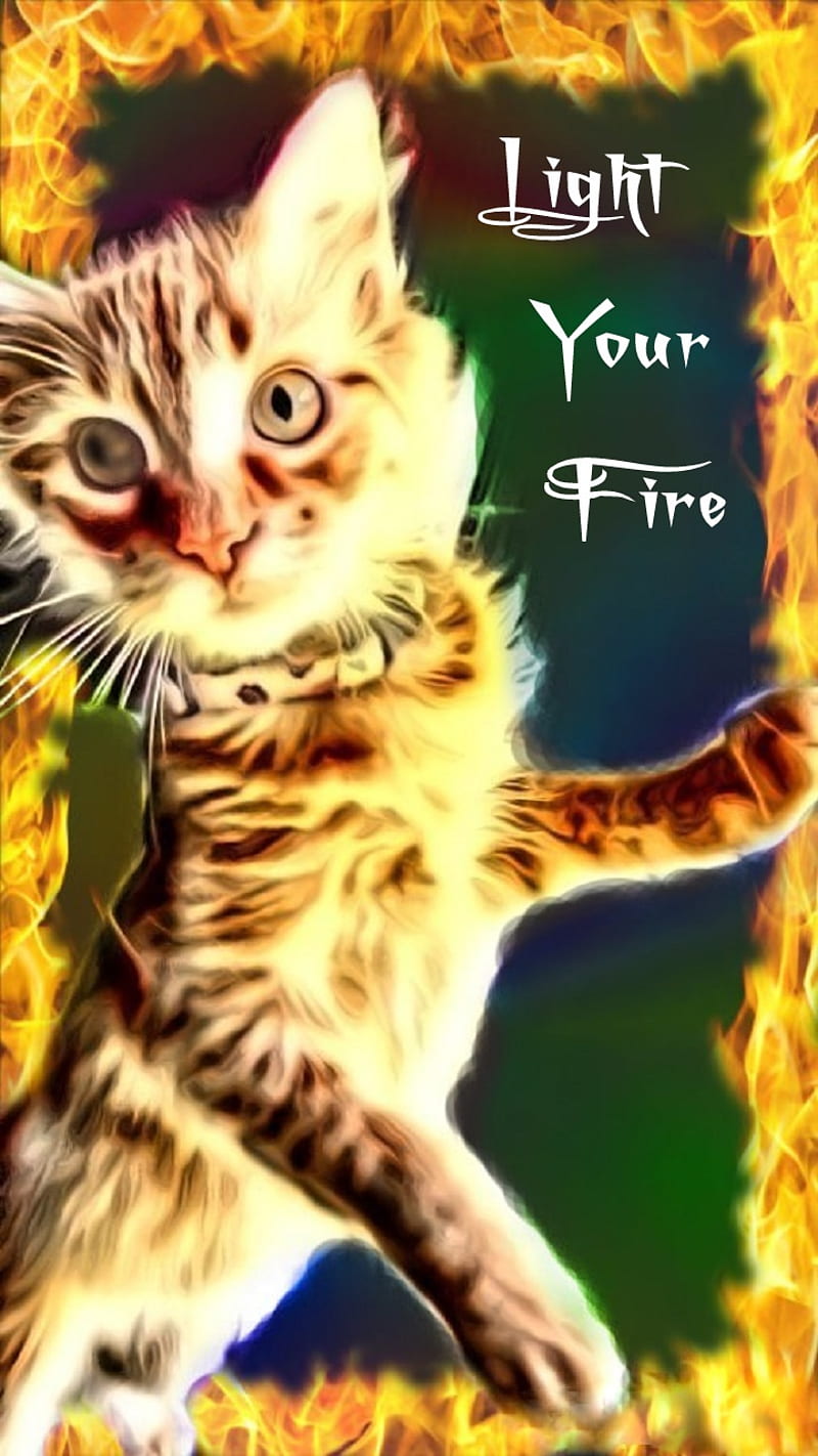 Burning cat. Кошка огонь.