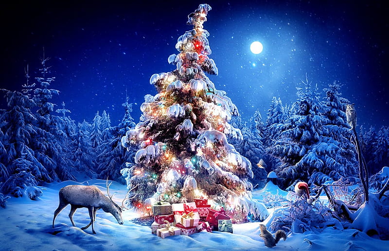 Christmas magic, forest, christmas, holiday, decoration, bonito, magic, sky, deer, lights, winter, tree, fantasy, snow, moonlight, nature, gifts, HD wallpaper