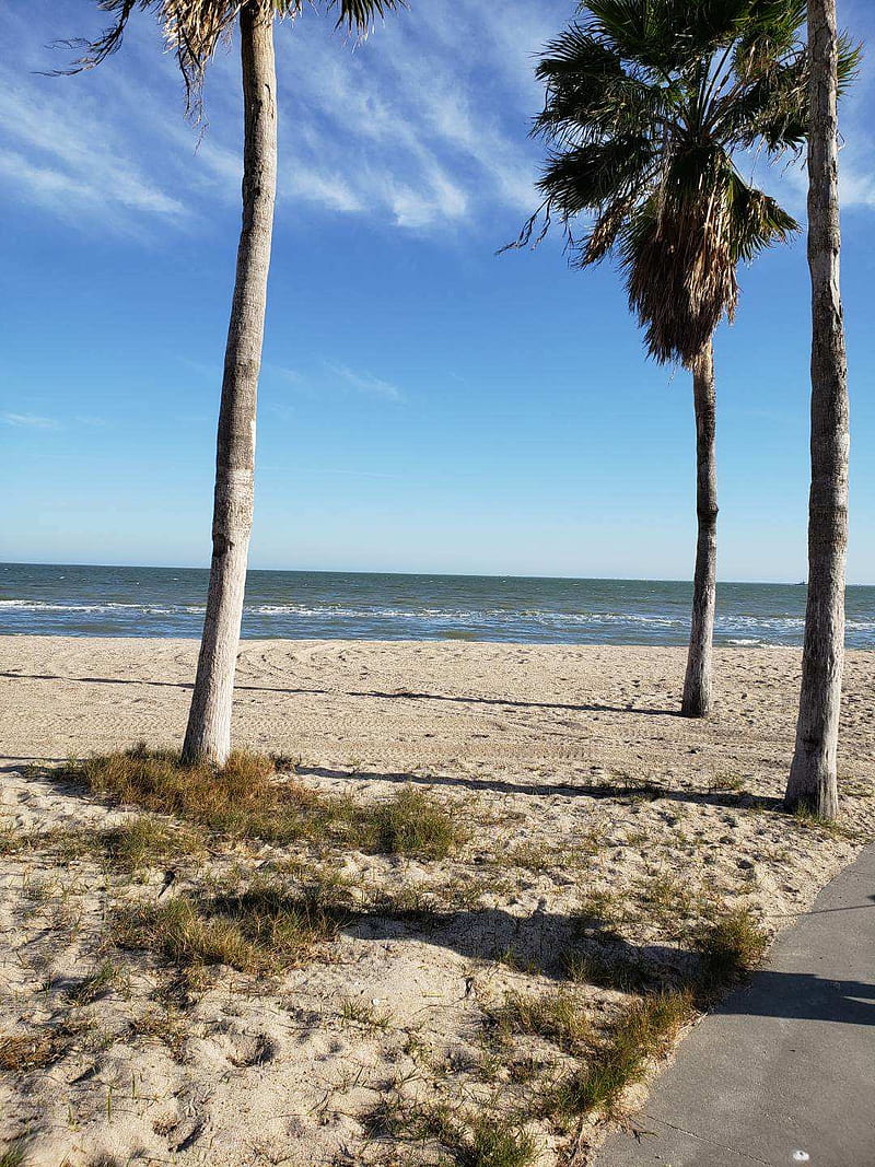 Corpus Christi Beach, island, tropical, HD phone wallpaper | Peakpx