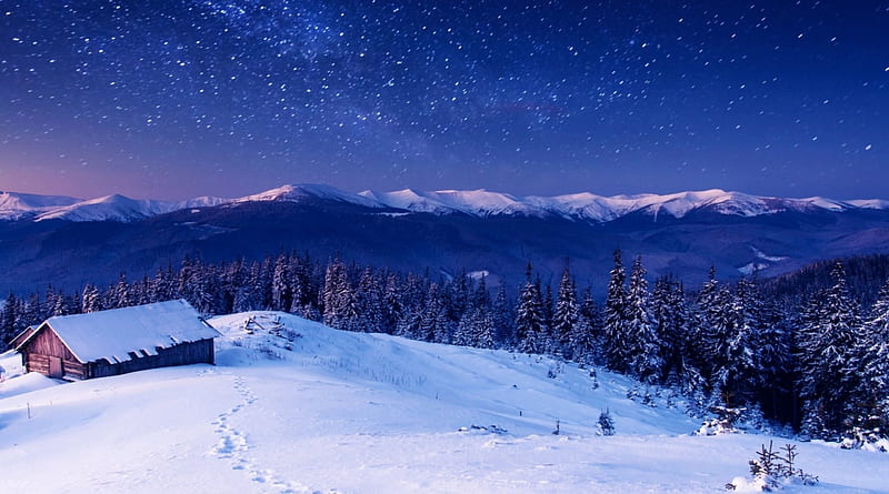 wintry mountain cabin under starry sky, mountain, forest, stars, cabin, sky, winter, HD wallpaper