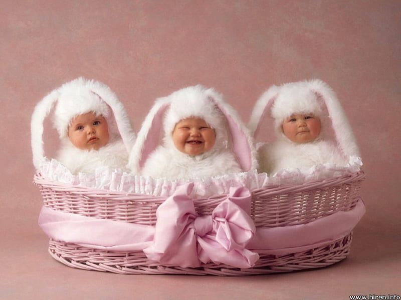 Three babies in pink basket, pink, baby, basket, sweet, HD wallpaper Three babies in pink basket, pink, baby, basket, sweet, HD wallpaper